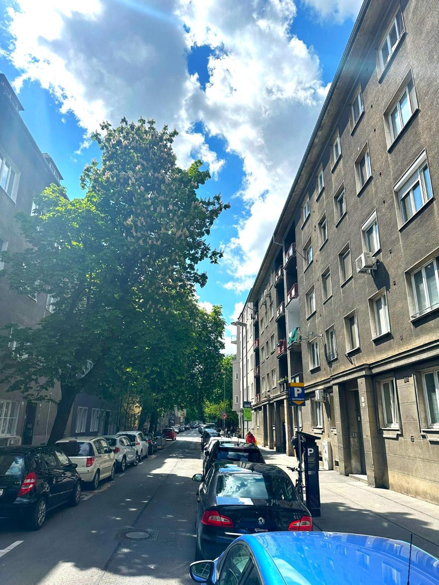 Apartment Helen - Old Town, Ac Μπρατισλάβα Εξωτερικό φωτογραφία